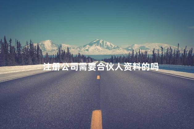 注册公司需要合伙人资料的吗