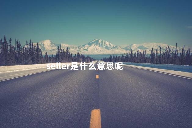 seller是什么意思呢