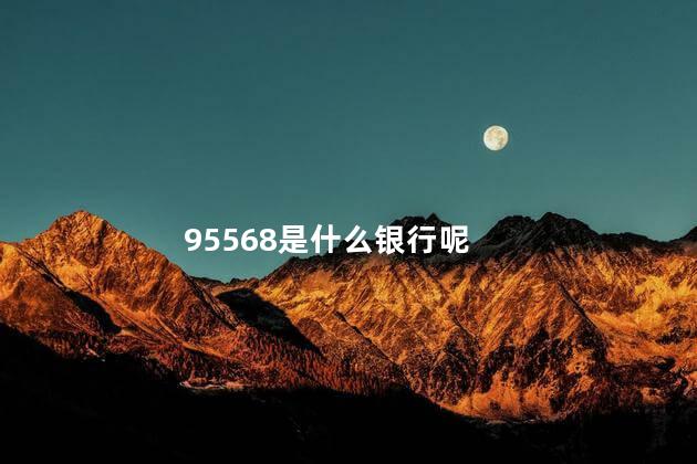 95568是什么银行呢