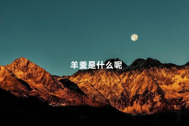 羊羹是什么呢