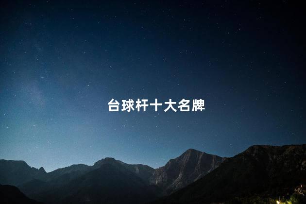 台球杆十大名牌