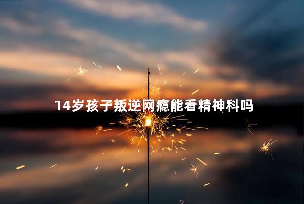 14岁孩子叛逆网瘾能看精神科吗，14岁孩子叛逆严重