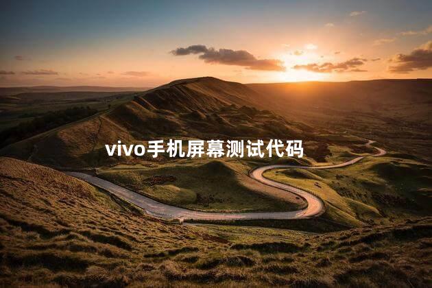 vivo手机屏幕测试代码,vivo触摸测试指令