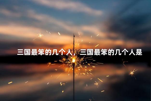 三国最笨的几个人，三国最笨的几个人是谁