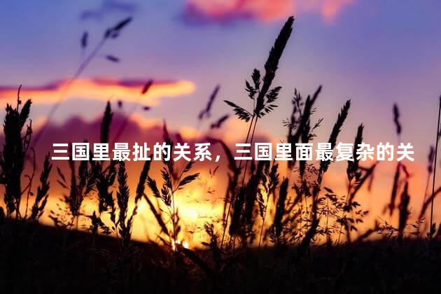 三国里最扯的关系，三国里面最复杂的关系