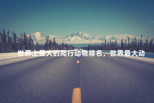 世界上最大的爬行动物排名，世界最大动物排名前十