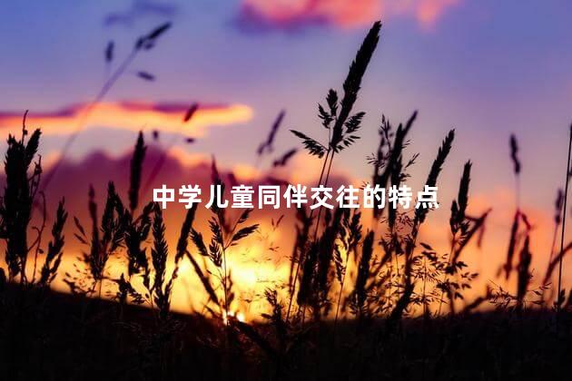 中学儿童同伴交往的特点，中学生同伴交往的特点有哪些