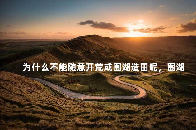 为什么不能随意开荒或围湖造田呢，围湖造田的危害