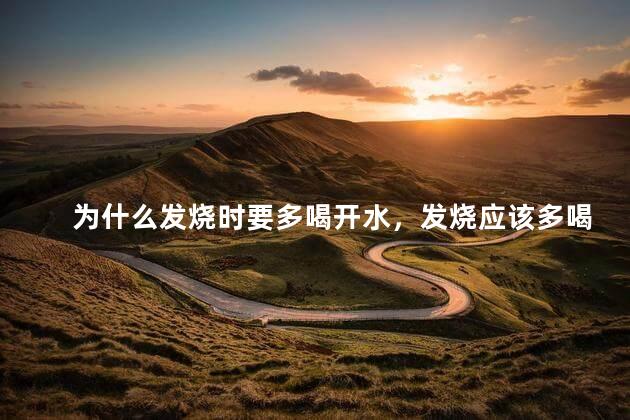 为什么发烧时要多喝开水，发烧应该多喝水吗