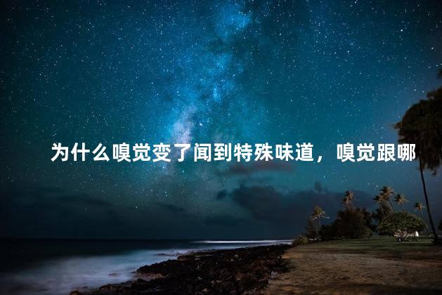 为什么嗅觉变了闻到特殊味道，嗅觉跟哪个内脏有关