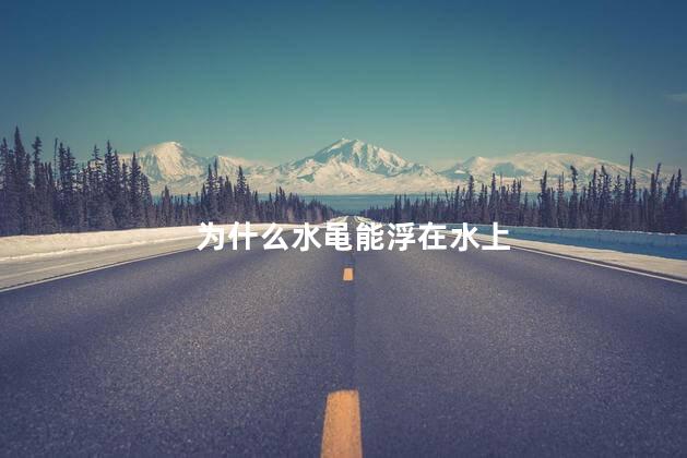 为什么水黾能浮在水上，水为什么能浮起东西
