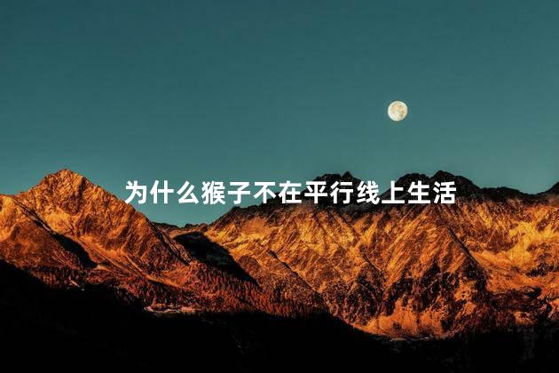 为什么猴子不在平行线上生活，猴子为什么不在平行线上生活呢