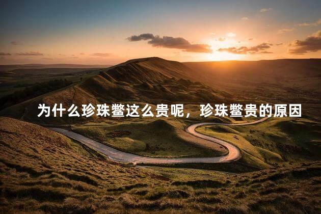 为什么珍珠鳖这么贵呢，珍珠鳖贵的原因