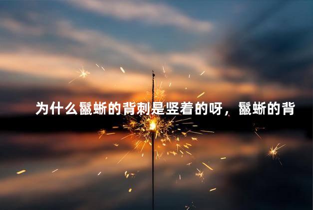为什么鬣蜥的背刺是竖着的呀，鬣蜥的背刺为什么是竖着的
