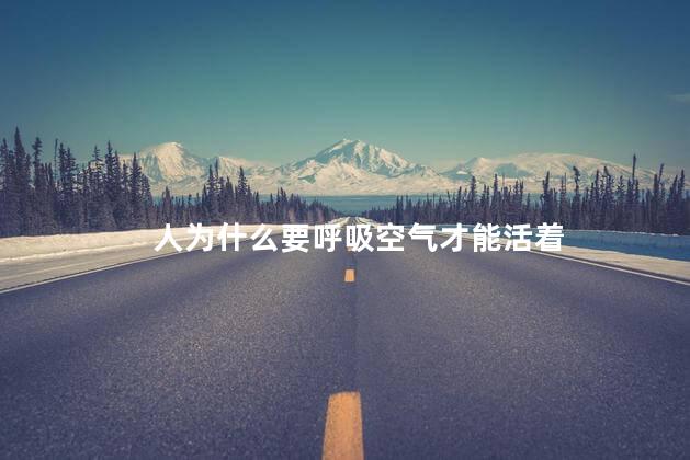 人为什么要呼吸空气才能活着，人为什么要呼吸才能活