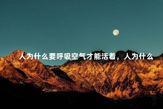 人为什么要呼吸空气才能活着，人为什么要呼吸才能活