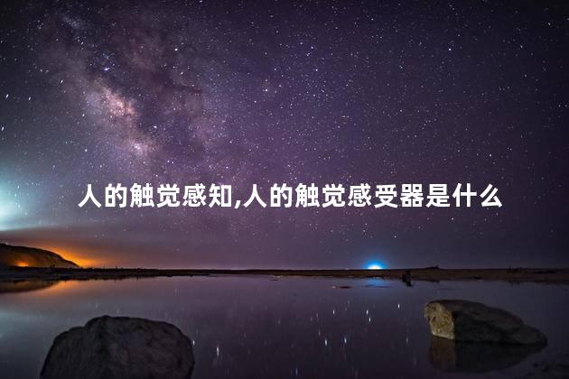人的触觉感知,人的触觉感受器是什么