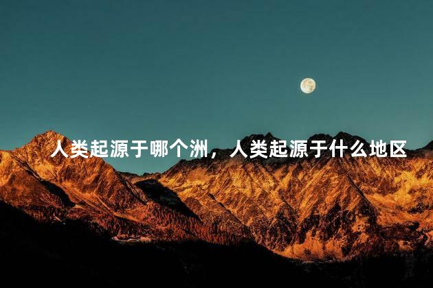 人类起源于哪个洲，人类起源于什么地区