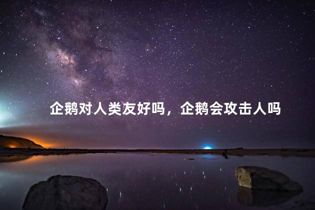 企鹅对人类友好吗，企鹅会攻击人吗