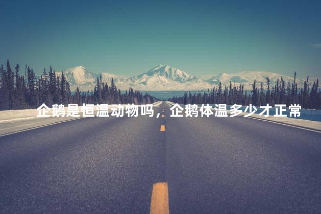 企鹅是恒温动物吗，企鹅体温多少才正常