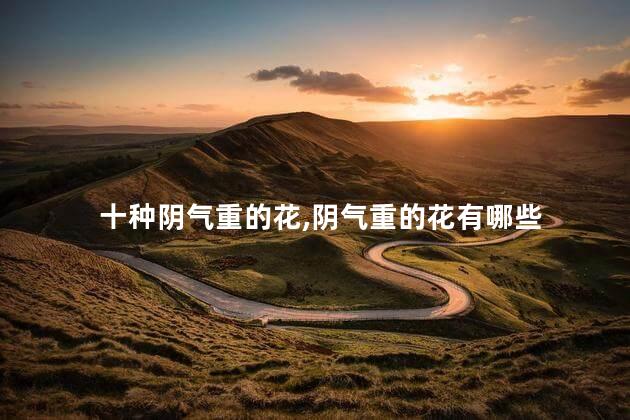十种阴气重的花,阴气重的花有哪些