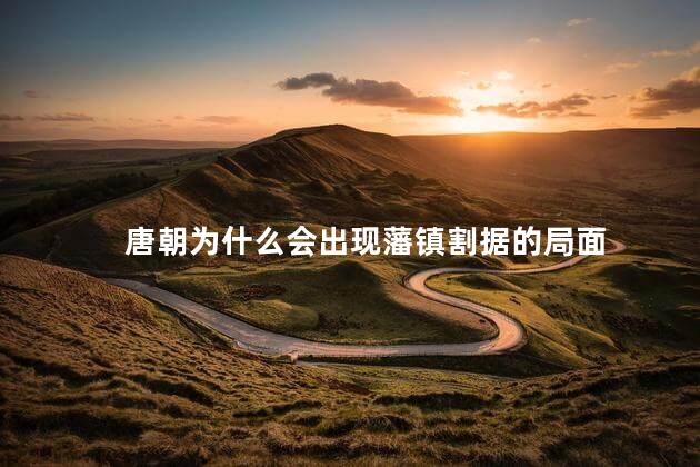 唐朝为什么会出现藩镇割据的局面，唐朝为何出现藩镇割据