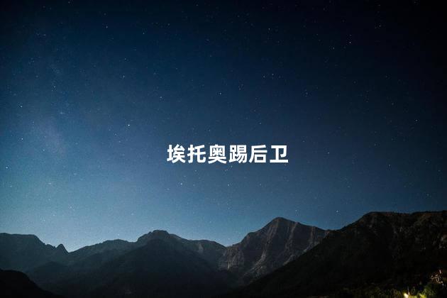 埃托奥踢后卫,埃托奥踢什么位置