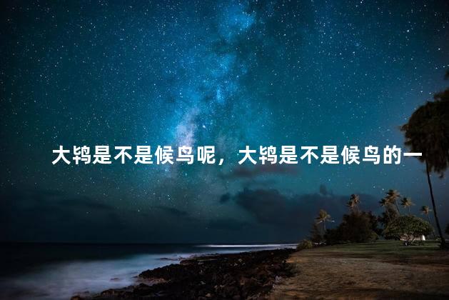 大鸨是不是候鸟呢，大鸨是不是候鸟的一种