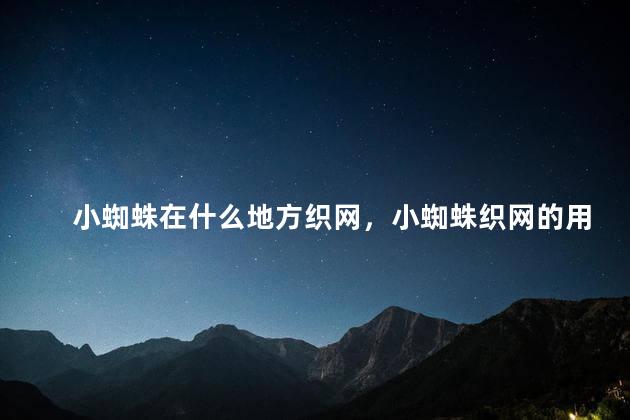 小蜘蛛在什么地方织网，小蜘蛛织网的用处