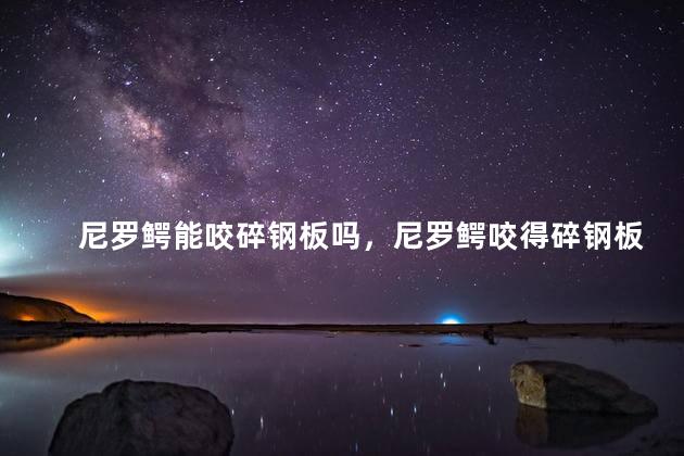 尼罗鳄能咬碎钢板吗，尼罗鳄咬得碎钢板吗