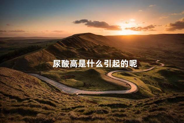 尿酸高是什么引起的呢 尿酸是什么引起的原因