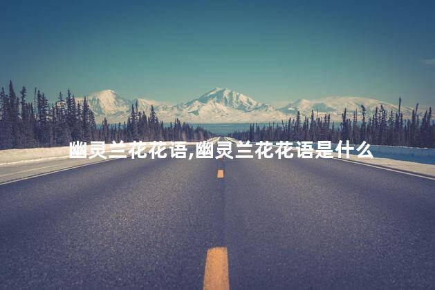 幽灵兰花花语,幽灵兰花花语是什么