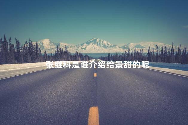 张继科是谁介绍给景甜的呢，谁把张继科介绍给景甜的