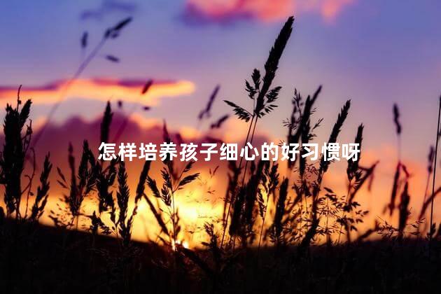 怎样培养孩子细心的好习惯呀，如何培养孩子养成细心的习惯