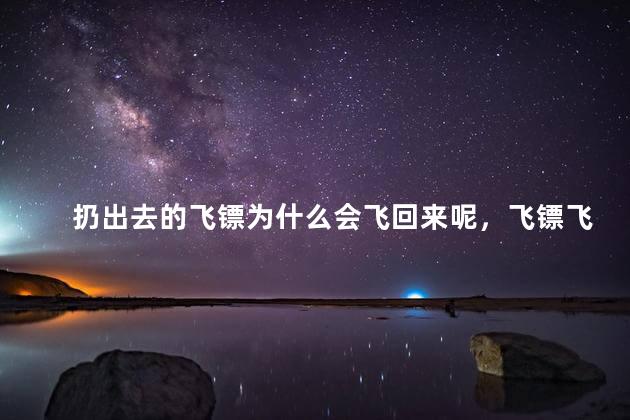 扔出去的飞镖为什么会飞回来呢，飞镖飞出去为什么还能飞回来