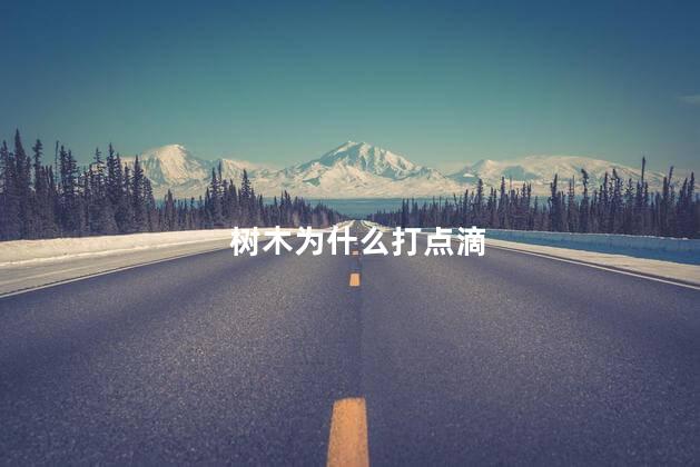 树木为什么打点滴，为什么要给树木打点滴呢