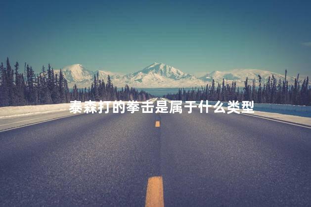 泰森打的拳击是属于什么类型,泰森打的是什么拳法