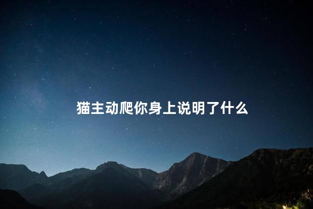 猫主动爬你身上说明了什么，猫咪恨主人的十种表现
