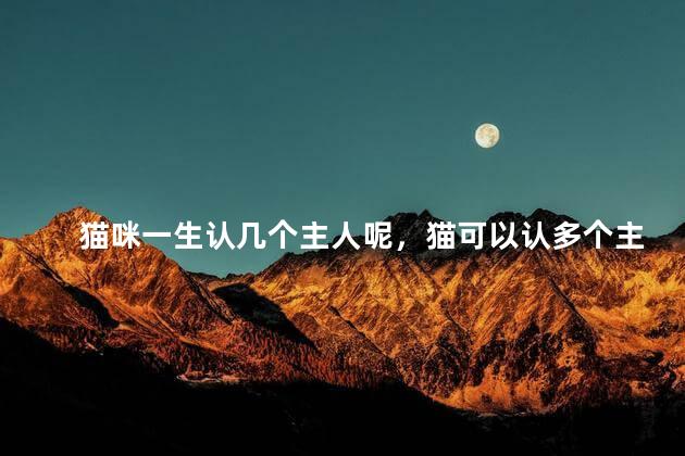 猫咪一生认几个主人呢，猫可以认多个主人吗