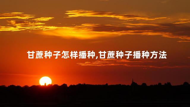 甘蔗种子怎样播种,甘蔗种子播种方法