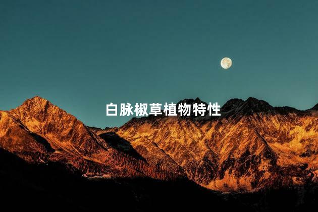 白脉椒草植物特性，白脉椒草植物有哪些特性