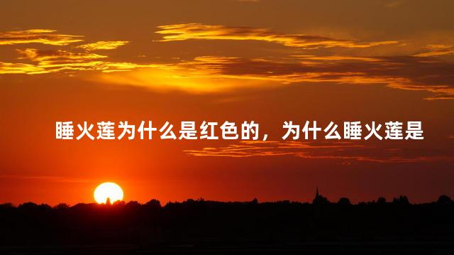 睡火莲为什么是红色的，为什么睡火莲是红色的