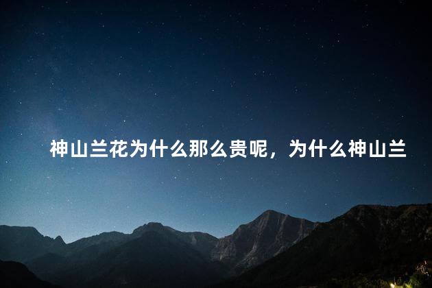 神山兰花为什么那么贵呢，为什么神山兰花那么贵