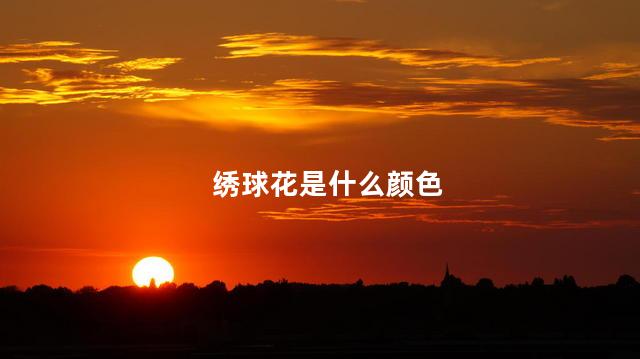 绣球花是什么颜色，绣球花有什么颜色