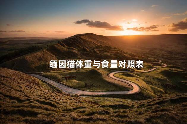 缅因猫体重与食量对照表,缅因猫喂食量和体重比是多少