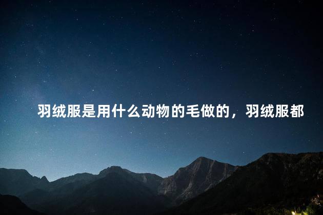 羽绒服是用什么动物的毛做的，羽绒服都是什么毛做的