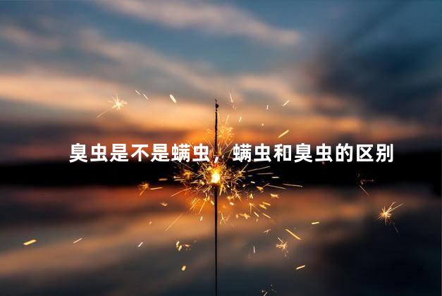 臭虫是不是螨虫，螨虫和臭虫的区别