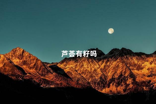 芦荟有籽吗，芦荟有没有籽的