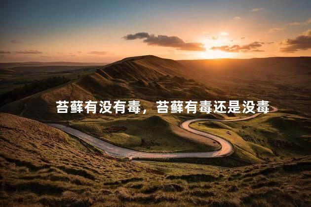 苔藓有没有毒，苔藓有毒还是没毒