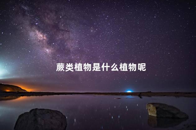 蕨类植物是什么植物呢，蕨类植物的种类